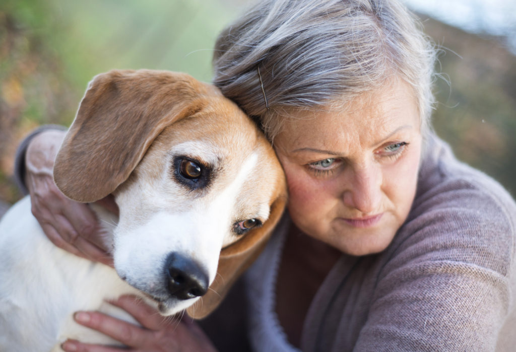 The Value of Pets in the Caregiver Process